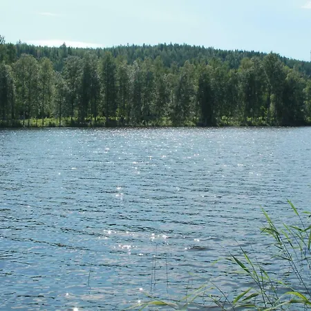 в финляндии, * Энонкоски
