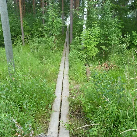 в финляндии, Энонкоски