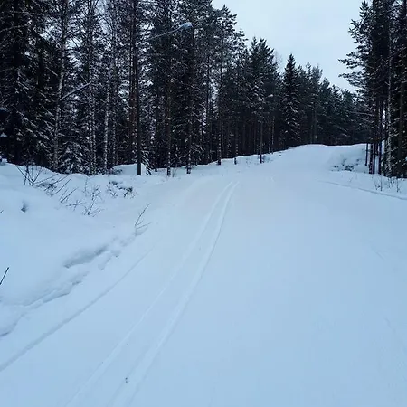 Casa de Férias в финляндии,