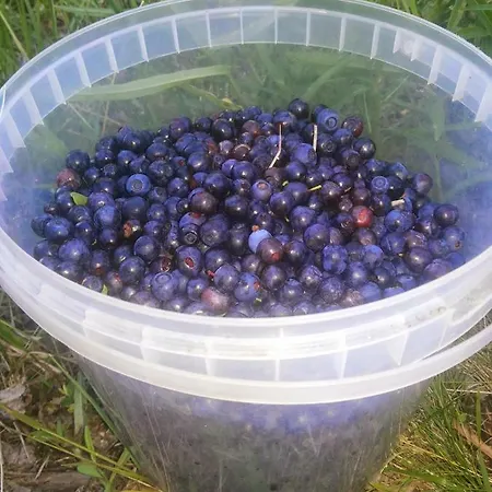 в финляндии, Enonkoski