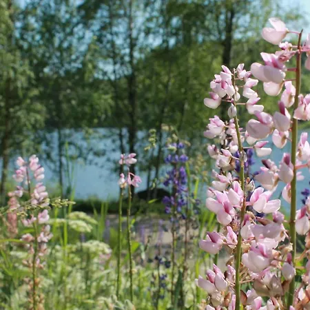Casa de Férias в финляндии, Enonkoski