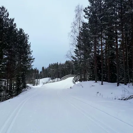 Дом отдыха в финляндии, Энонкоски
