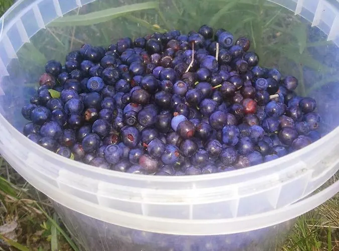 в финляндии, Enonkoski