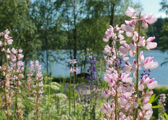 بيت للعطل в финляндии, Enonkoski