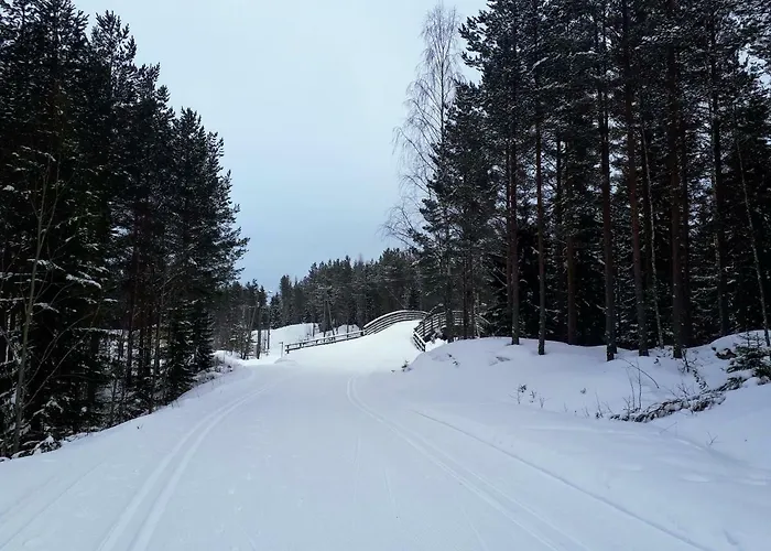 بيت للعطل в финляндии, Enonkoski